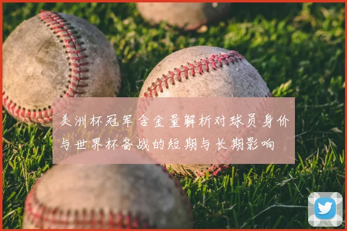 美洲杯冠军含金量解析对球员身价与世界杯备战的短期与长期影响