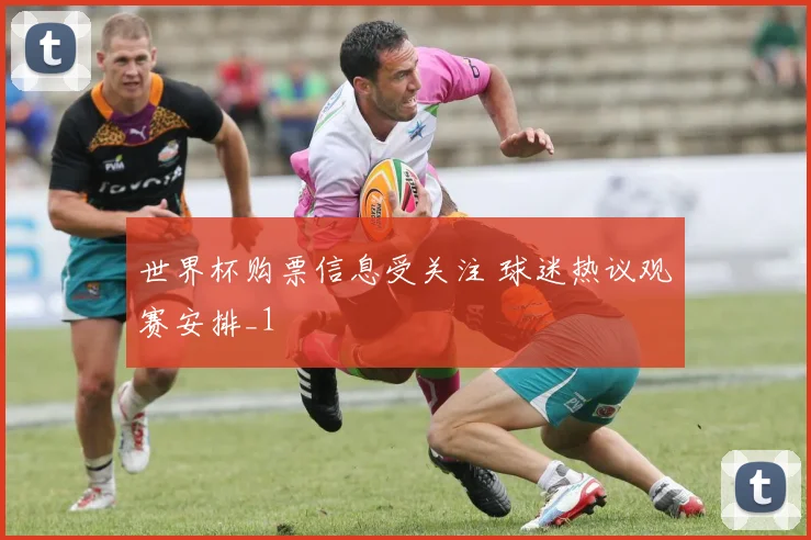 世界杯购票信息受关注 球迷热议观赛安排_1