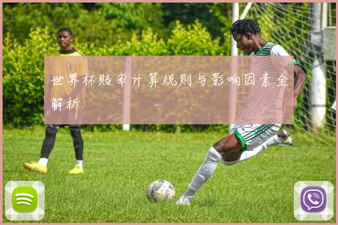 世界杯赔率计算规则与影响因素全解析